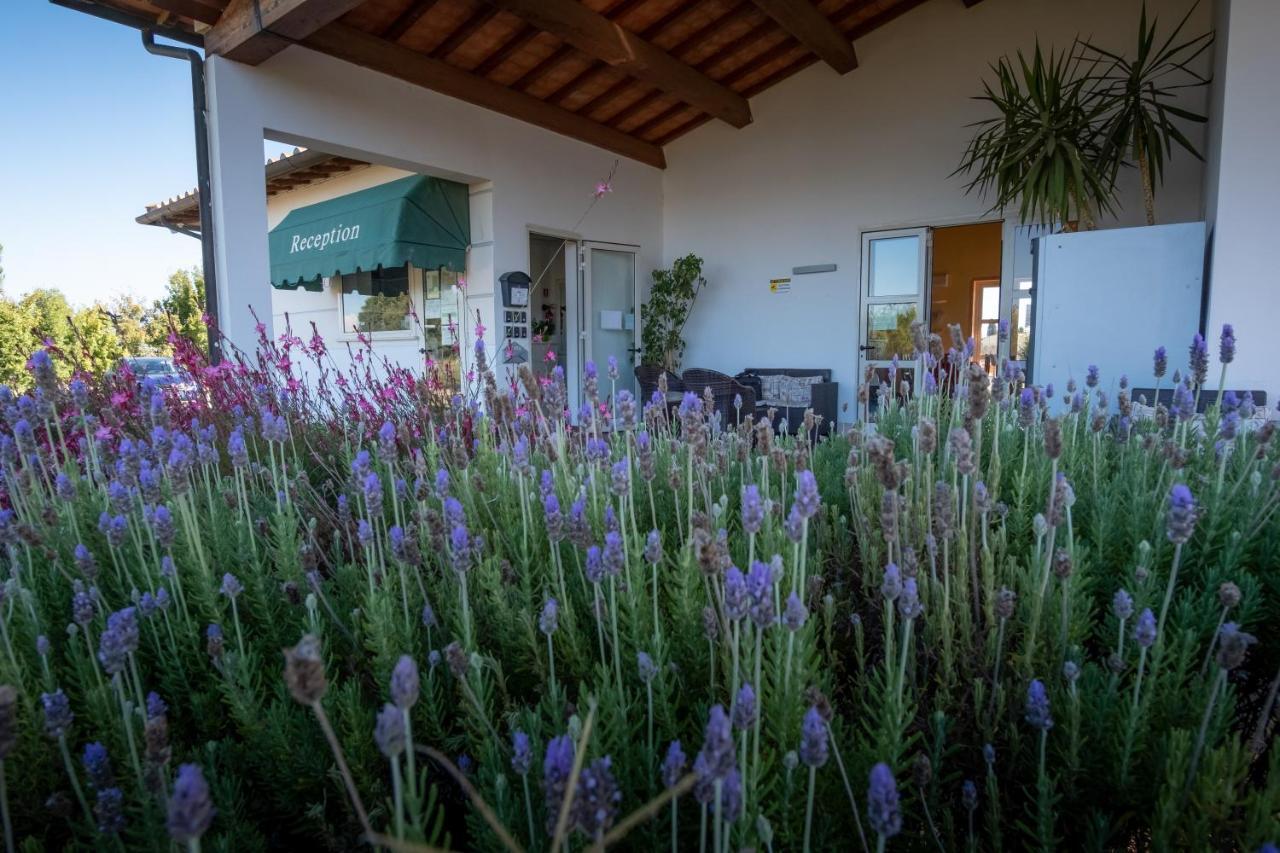 Residenza Principina Principina Terra Exterior foto